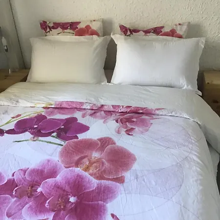 Apartment Araukana Bordeaux