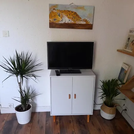 Apartment Araukana