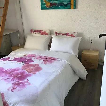 Araukana Apartamento *